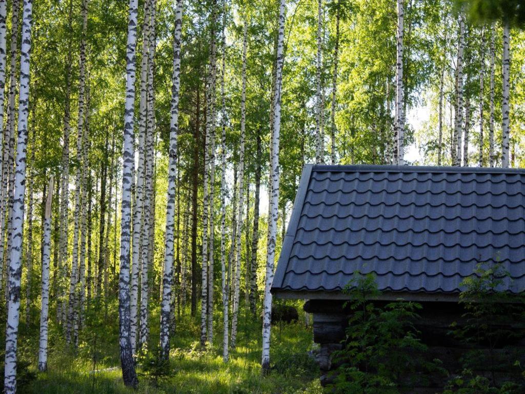 Tarina-Aho Acomodação com café da manhã Vuonislahti Exterior foto