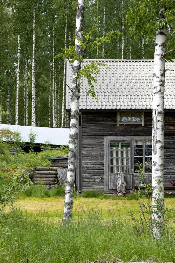 Tarina-Aho Acomodação com café da manhã Vuonislahti Exterior foto